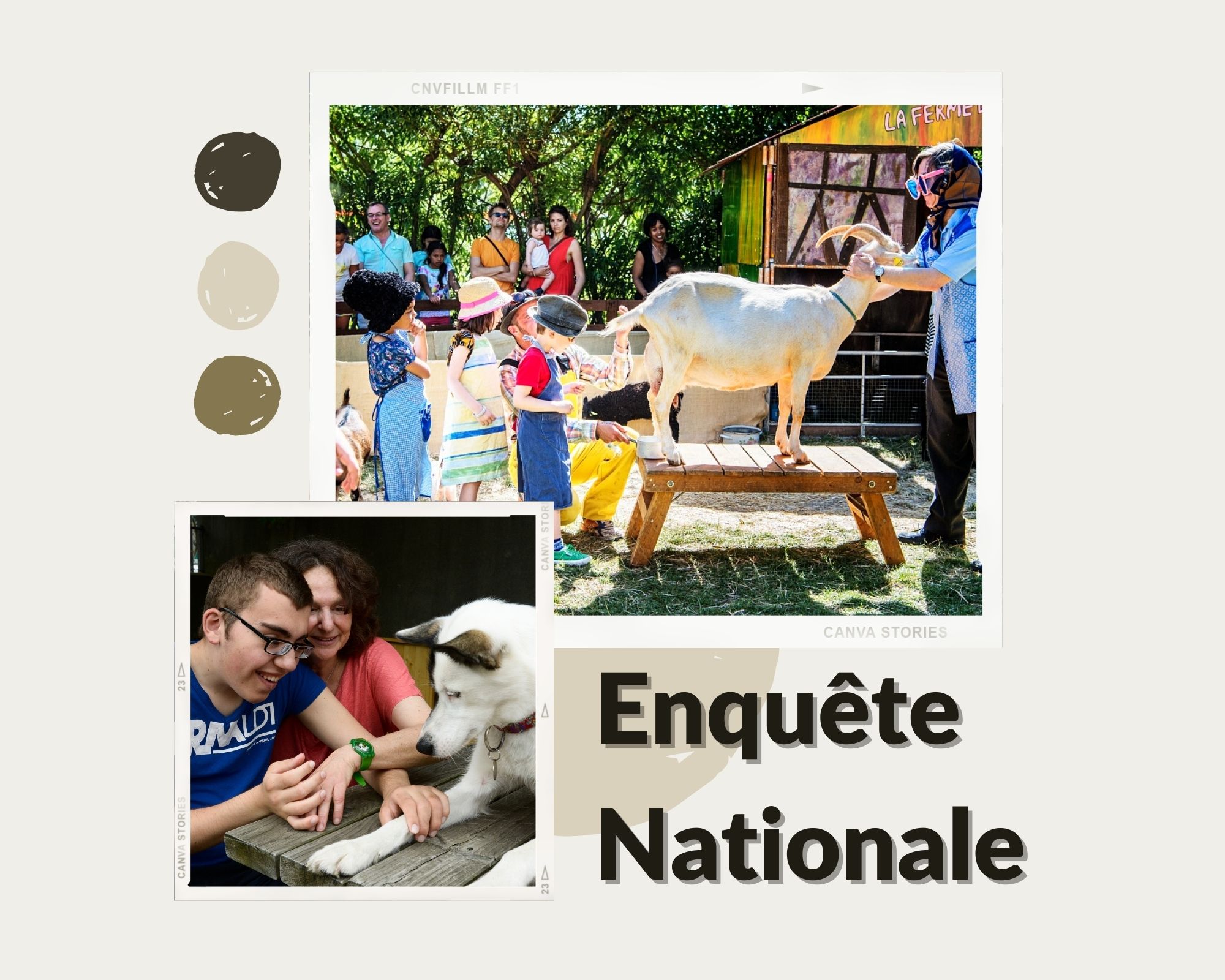 enquête nationale sur la médiation animale