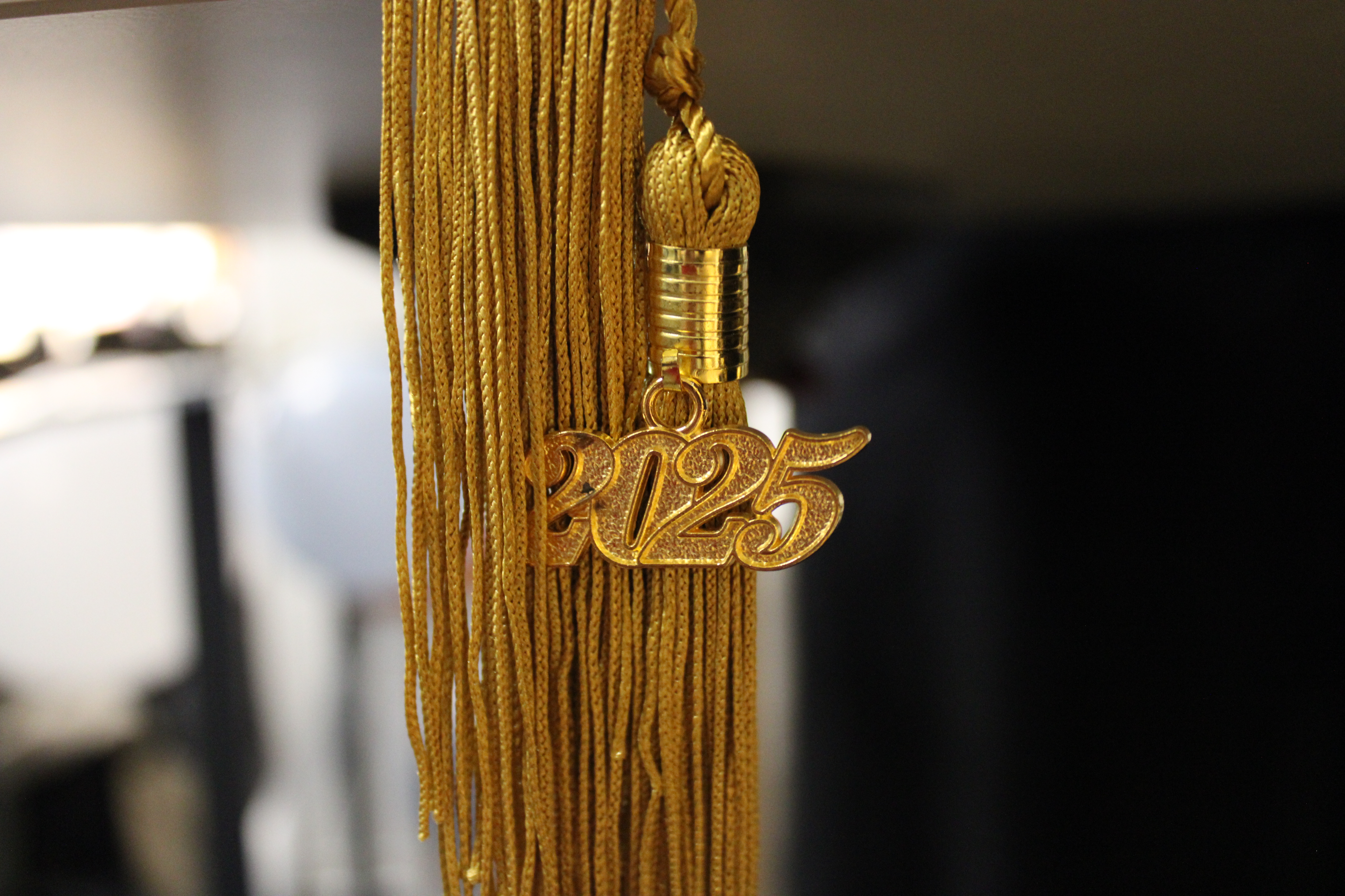 Cérémonie de remise des diplômes DEME et DEES 2025